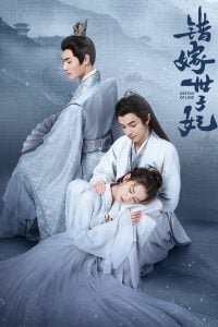 Gả Nhầm Thế Tử Phi (Destiny of Love)